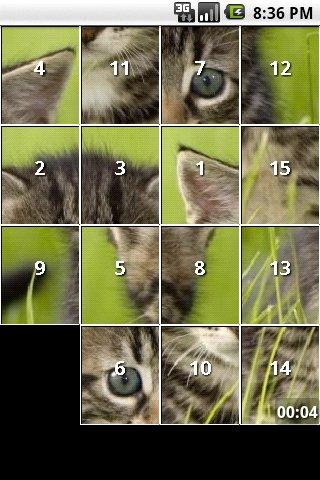 Kitten and Cat Puzzles