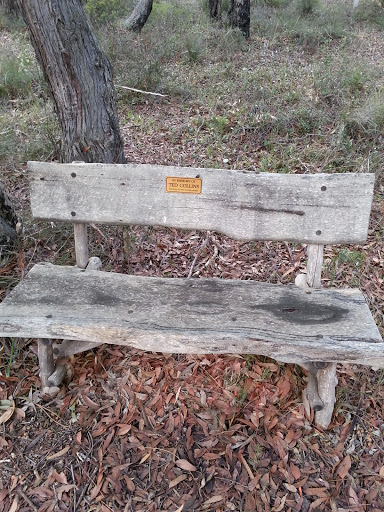 Ted Collins Memorial Bench