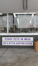 Stray Pets in Need