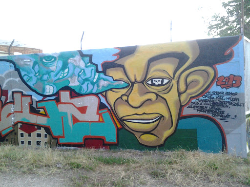 Graffiti Fila