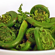 Fiddlehead Frittata