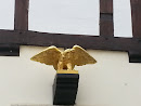 Goldener Adler