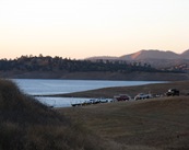 IMG_0537
