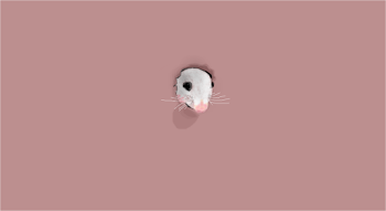 Curiosity