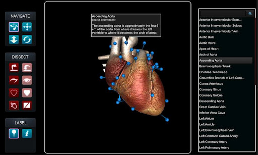 VirtualHeart3D