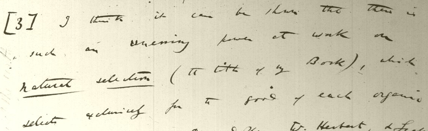 Charles darwin foundation galapagos picture