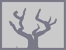 Thumbnail of the map 'Dead Cypress'