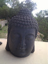 Budda