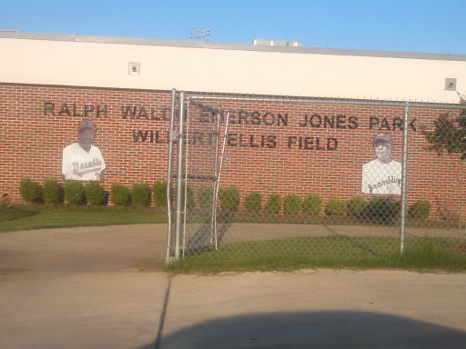 Ralph Waldo Emerson Jones Park 