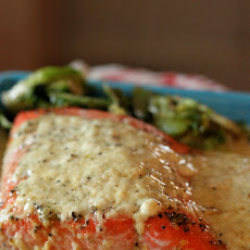 Lemon Cream Roast Salmon with Whipped Parsnips