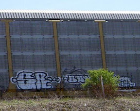 PICT0676.JPG