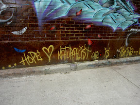 PICT0927.JPG