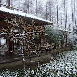 20080113?????-??? &ndash; ???????