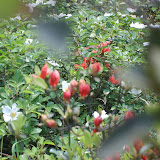 070408????????? &ndash; 