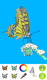 download Coloring Book Butterflies free