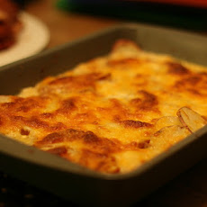 Fennel-Potato Au Gratin