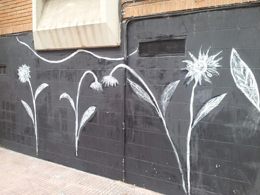 Girasoles En Blanco&Negro