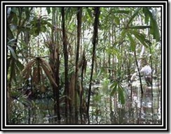 clip_image002[4]