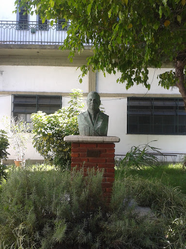 Busto De Enrique Mosconi