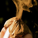 smoke bomb