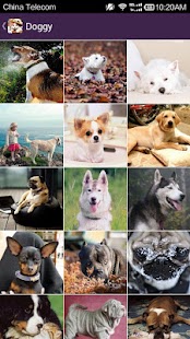 How to get Moe Wallpaper - Kitty & Doggy 1.0.0 unlimited apk for laptop