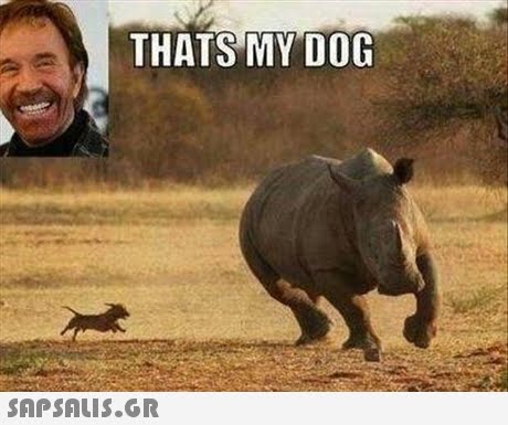 THATS MY DOG 