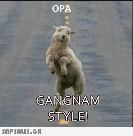 OPA GANGNAM STYLE 