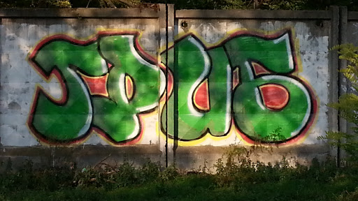 Graffiti Гриб
