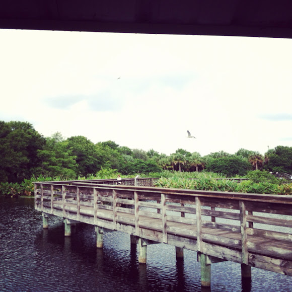 Spotting Image 1