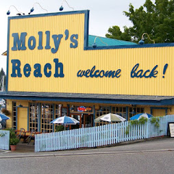 Molly's Reach - Welcome Back