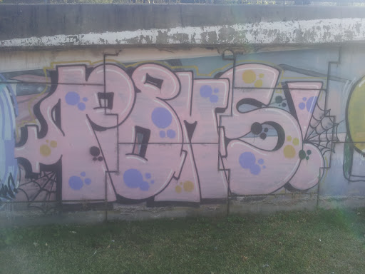 Grafitti Subida 9 Julio. 2