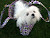 User profile picture thumbnail