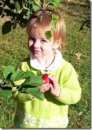kb 2006 orchard