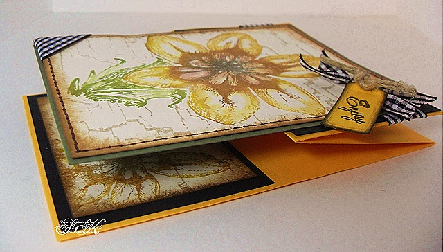 [WeatheredHarlequinFlower_SaK0014.jpg]