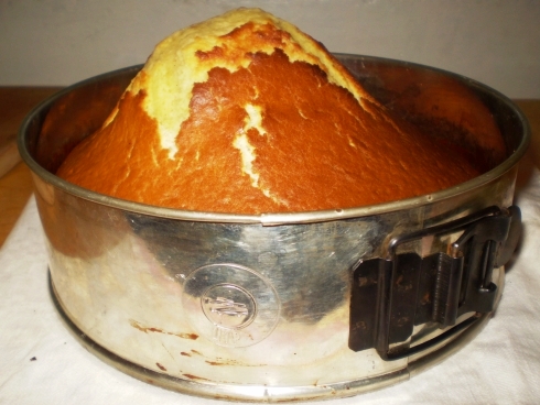 Tortas-nelaimė