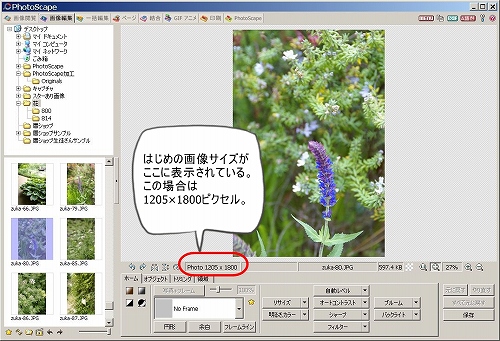 写真を素敵にフレーム加工する方法 PhotoScape（フォトスケープ）の使い方