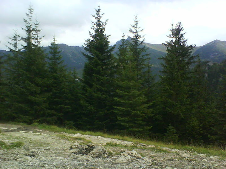 image-upload-78-735367.jpg
