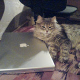 We love Mac!