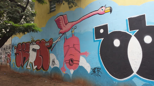 Arte Urbana O Voo Do Flamingo 