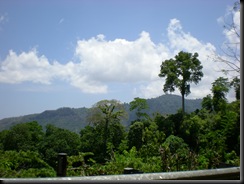 green of lombok
