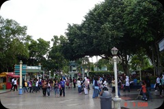 Jaya Ancol (234)