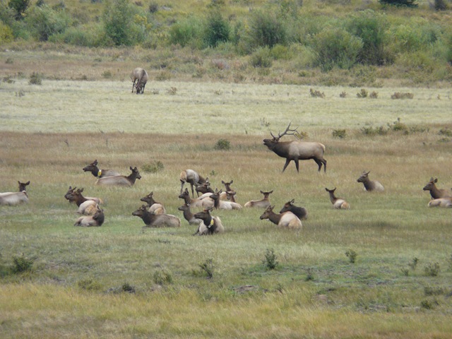 [20080918_343.jpg]