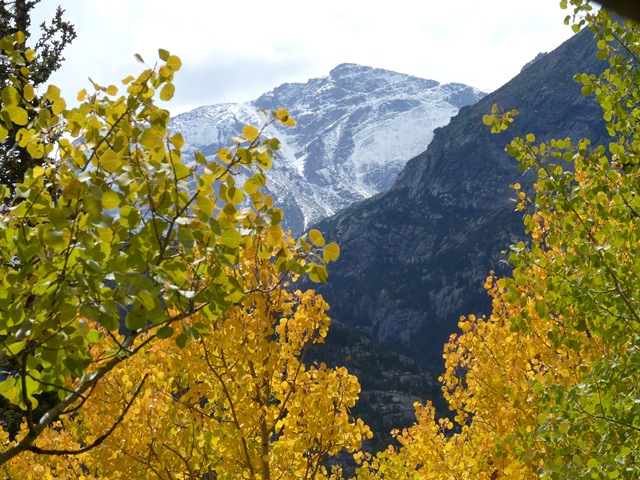 [20080919_633.jpg]