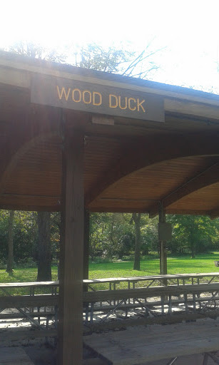 Wood Duck Shelter