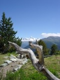 2007-07 : La Dent Blanche et le Cervin, depuis Haute-Nendaz - 08/2007