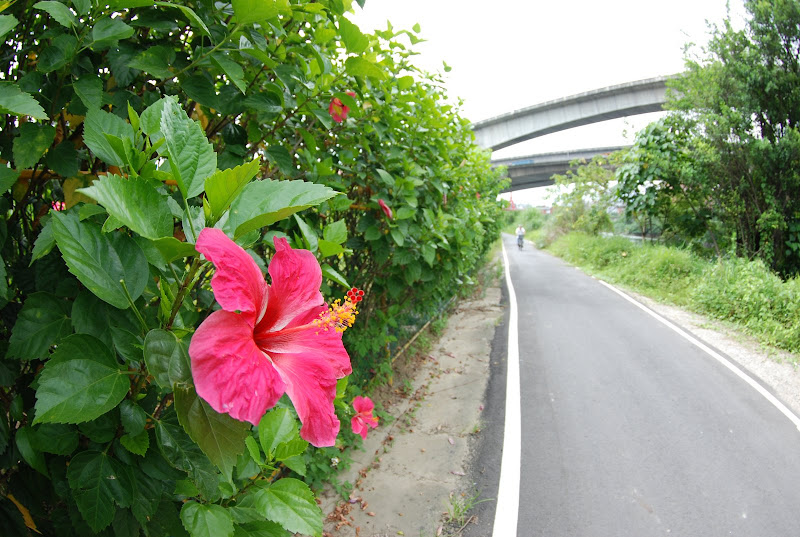 Tokina ATX 10-17mm Fisheye 實拍報告