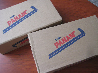 Panam tenis