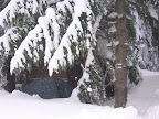 żywiecki_20060217_05.JPG