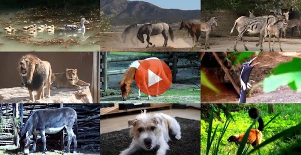 How to install KidVid Animals patch 1.7 apk for android