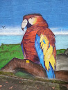 Graffiti Perroquet